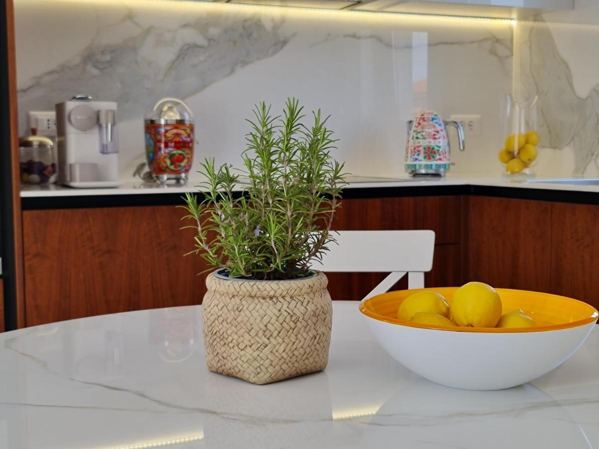 New!!! 2024 Marea Apartments With Xxl Sunny Terrace 포레치 외부 사진