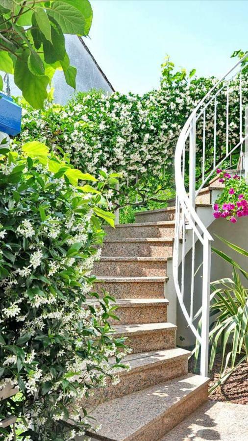 New!!! 2024 Marea Apartments With Xxl Sunny Terrace 포레치 외부 사진